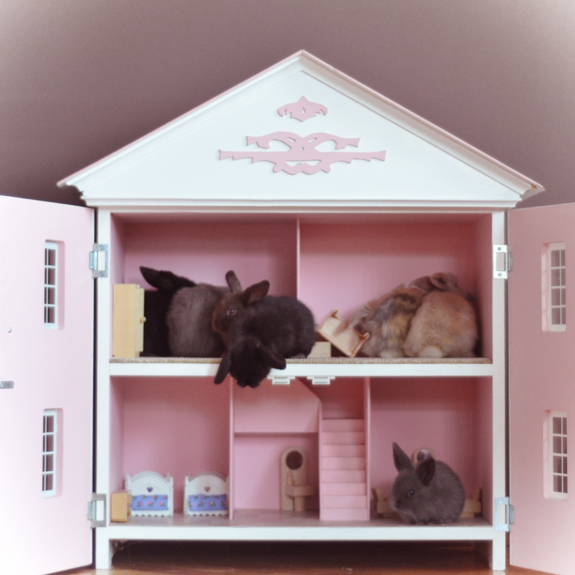 Baby bunnies in a dollhouse